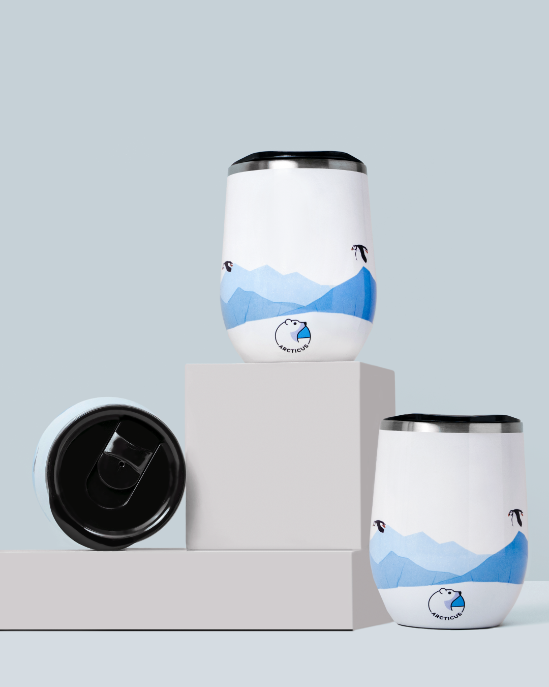 The Arctic Box-Drinkware